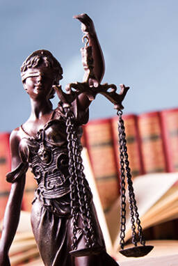 Alkotmányjogi Szakkönyvek Modul